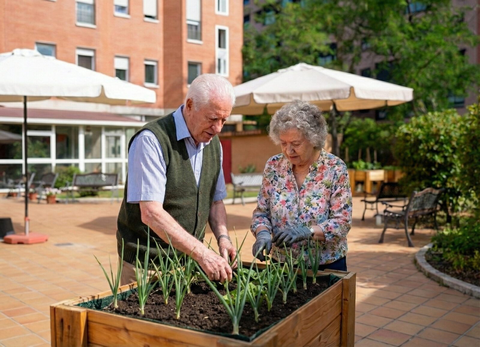 bienestar integral en la tercera edad